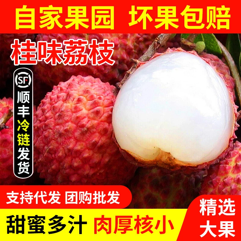 产地顺丰/京东直发广东茂名高州桂味糯米糍荔枝水果整箱现摘礼盒