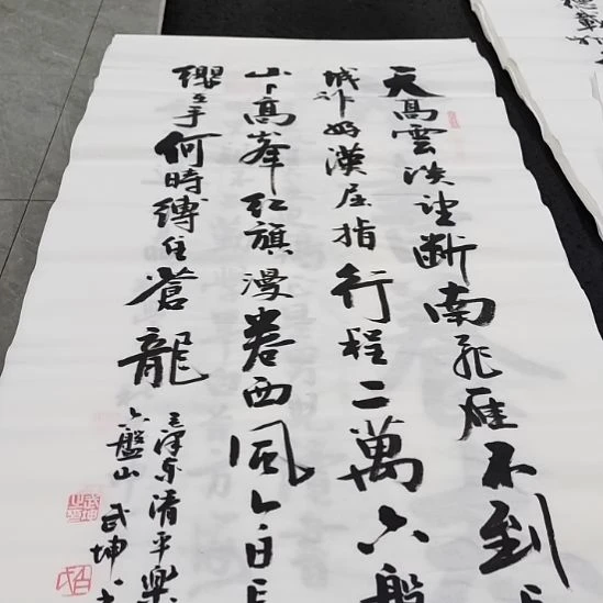 翰墨白武坤老师作品一副