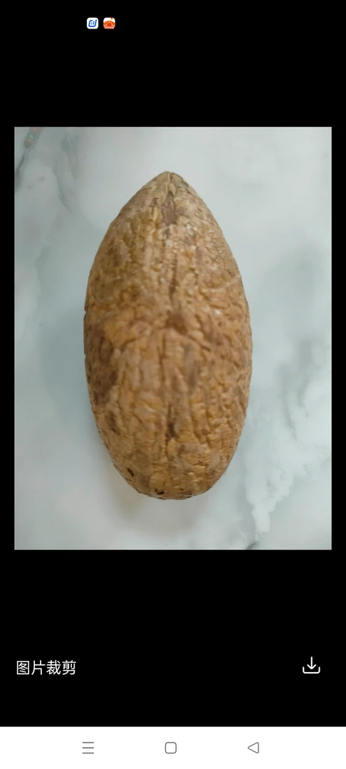 千眼菩提果，文玩，手把件，【开果不退】