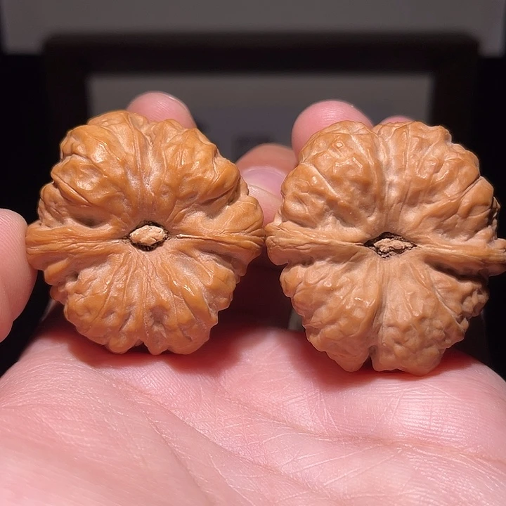 核桃手串/手链蛤蟆头