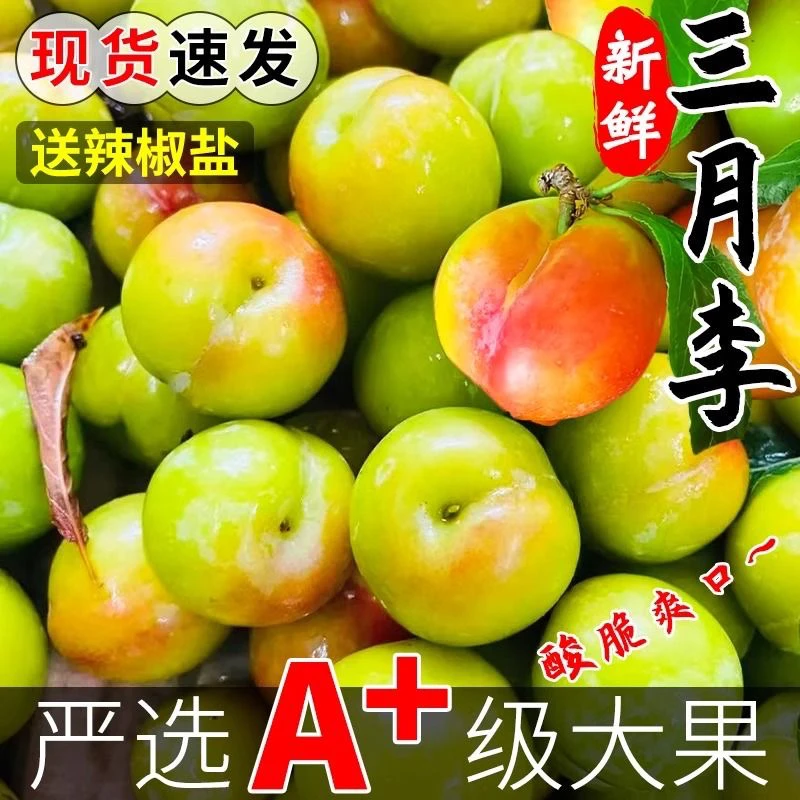 三月李新鲜酸脆李子1/5斤爱吃水果送辣椒盐生鲜食品生鲜生鲜食品