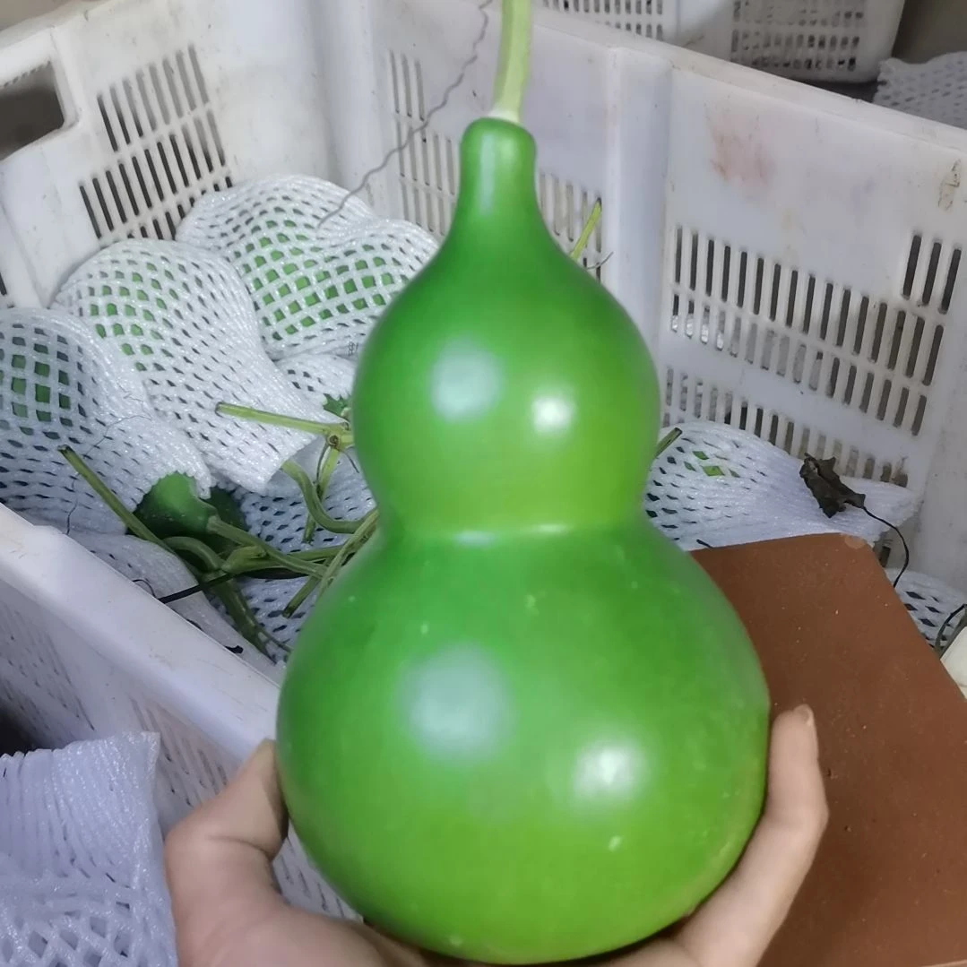 淼***水木葫芦摆件家庭摆件