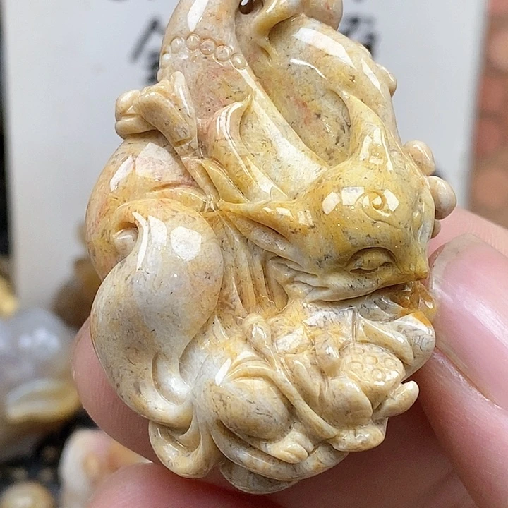 颈饰未镶嵌硅化珊瑚（珊瑚玉）