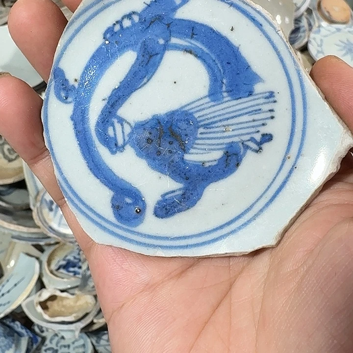 龙****瓷片瓷片标本，顺丰包邮