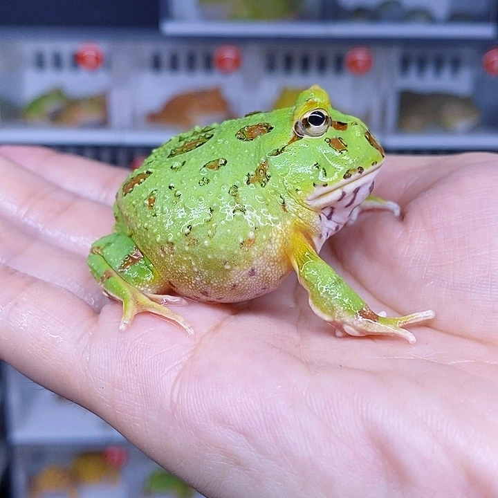 特价促销价格优惠