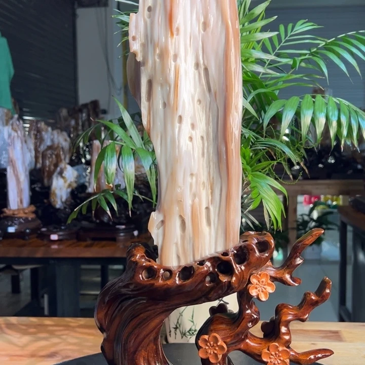 硅化玉（树化玉）未镶嵌珠宝奇石