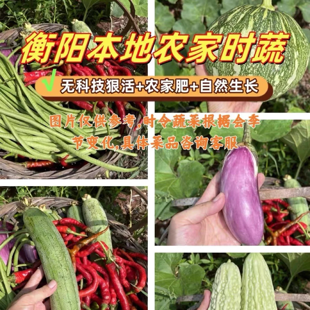 湖南衡阳本地新鲜农家自种时令蔬菜包混搭应季混合农家菜现摘现发