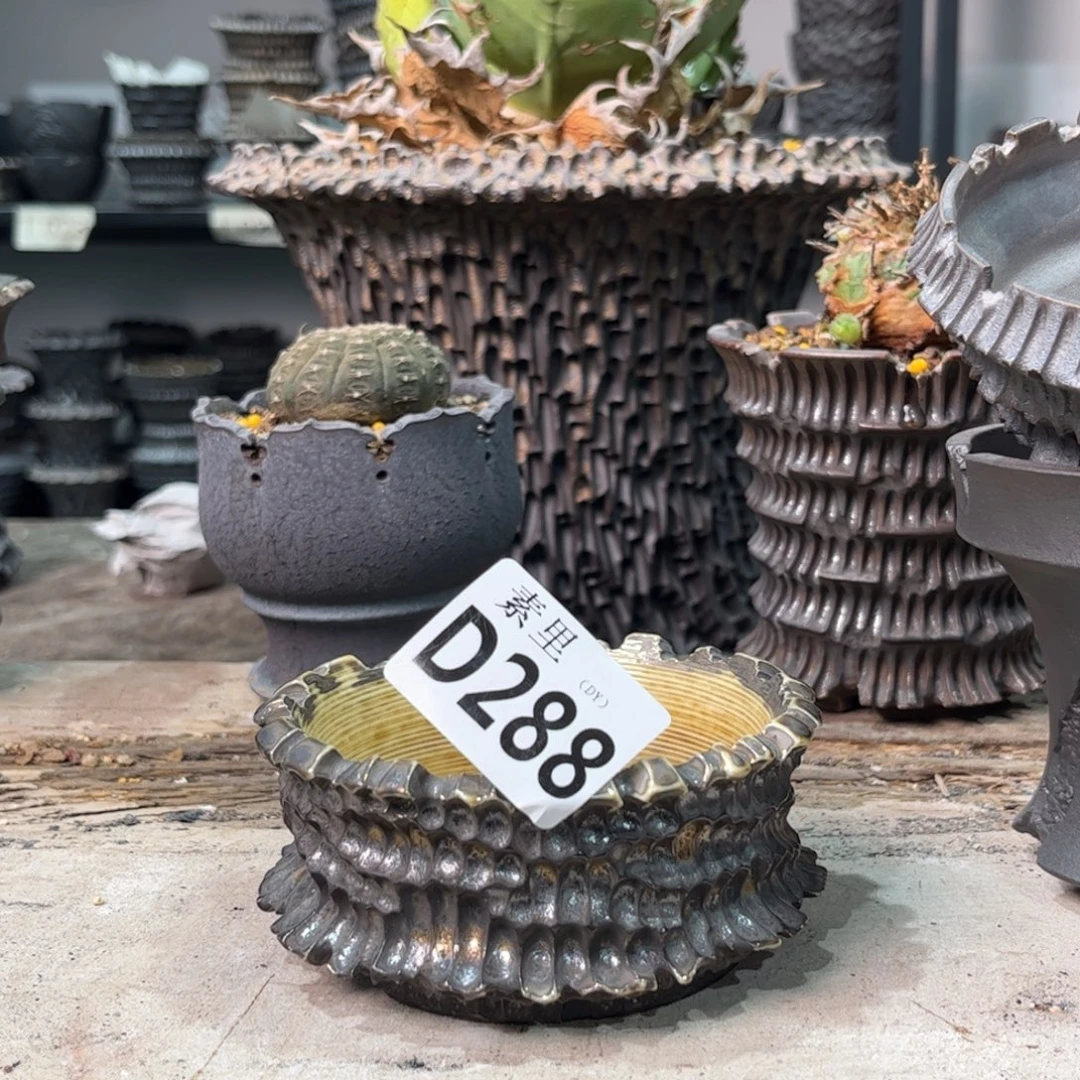 陶内口9.5高5.5景德镇