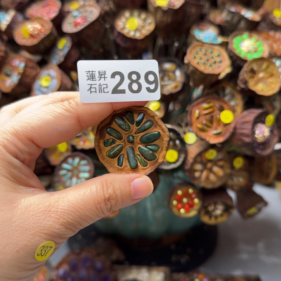 红***襟核桃木/黑胡桃（胡桃木）289