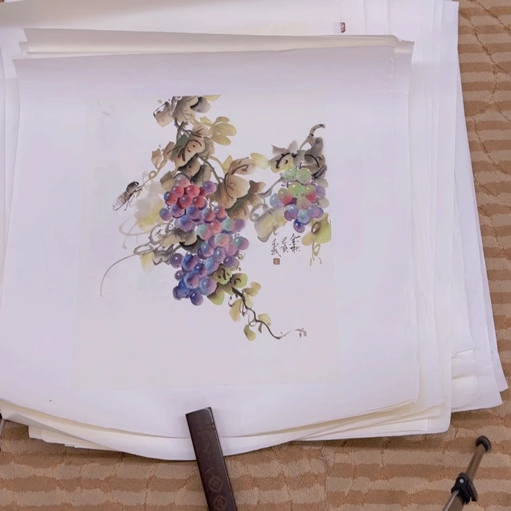 国画花鸟等多种鸟类和