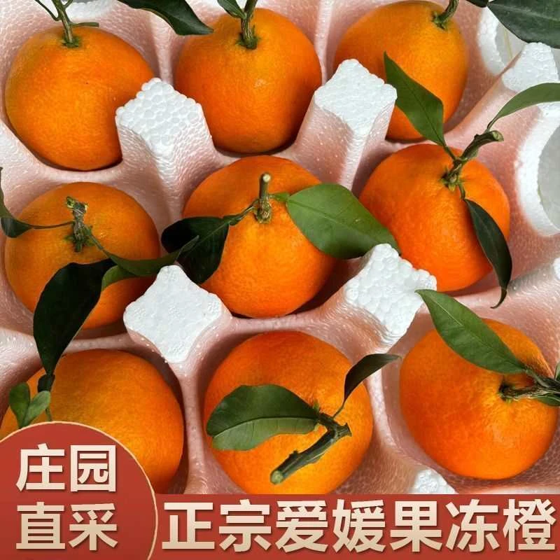 【产地直发】爱媛果冻橙38号手剥橙眉山新鲜采摘鲜嫩爆汁