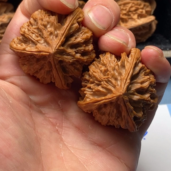 孤***丨核桃手串/手链开播福利，41尺，不退不换