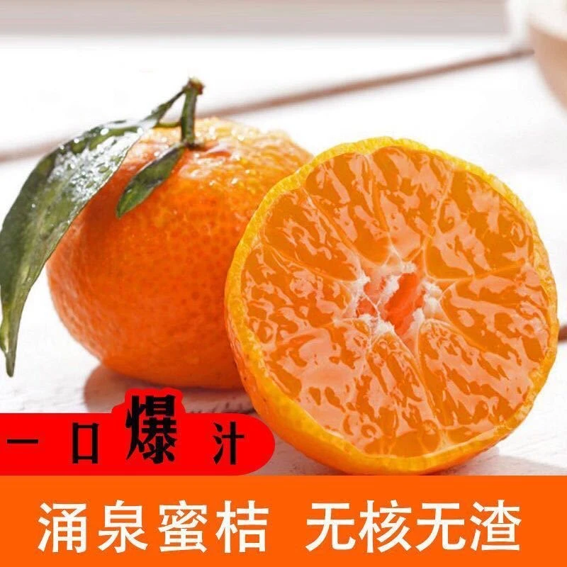 《蔡蔡专属》浙江临海涌泉蜜橘宫川高山无核礼盒包装送礼皮薄多汁