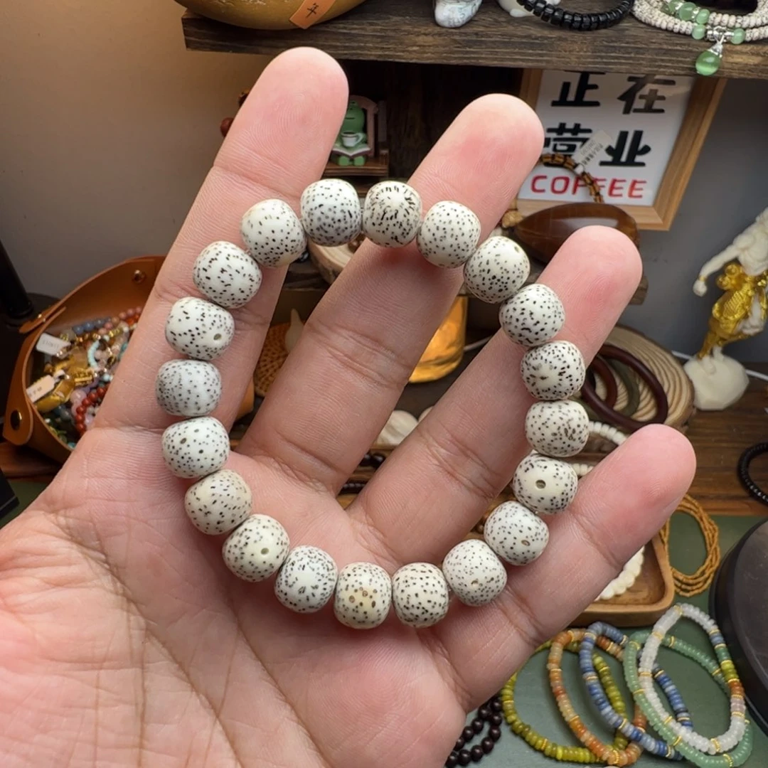 菩提根/象牙果手串