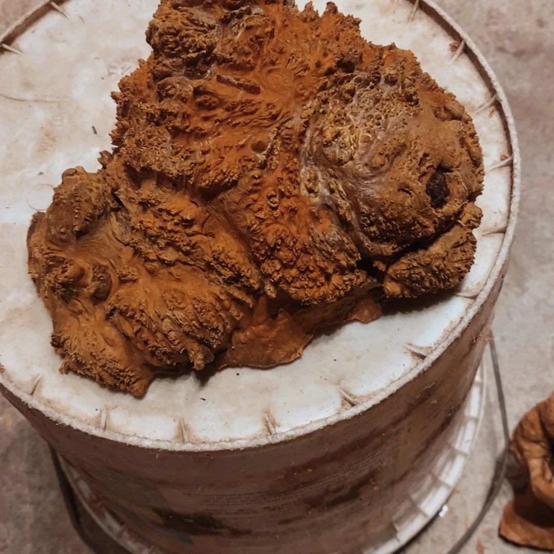暖***风荔枝木随形香炉木材