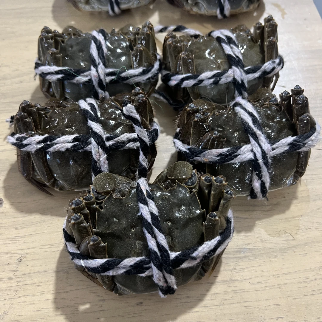 【活蟹】 全母蟹          顺丰京东包邮 1.3-1.6 两河蟹  5-10只