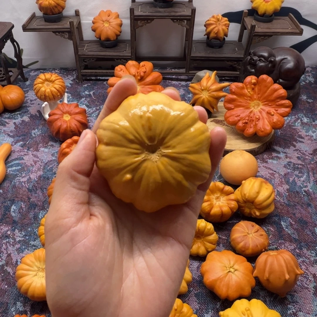 墨西哥葫芦小黄饼