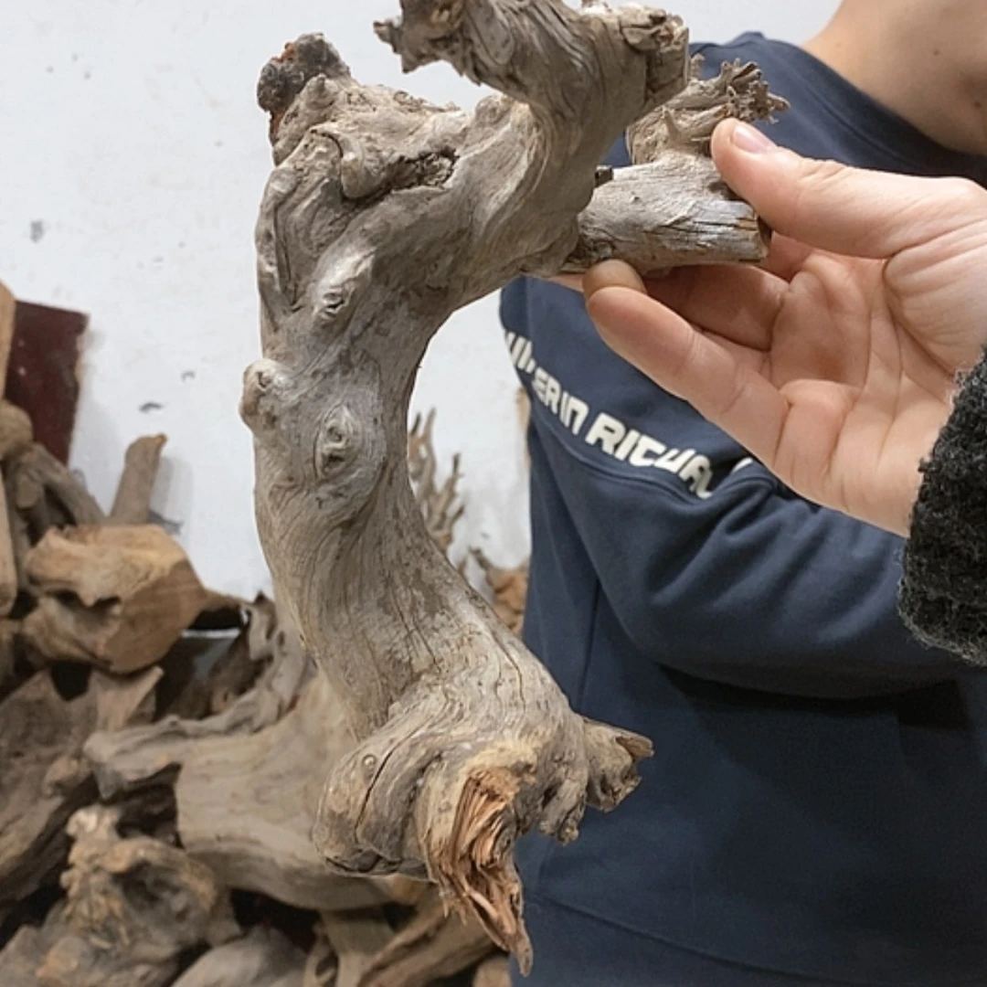 【闪购商品】柏木鸿*我们都在努力着改变着