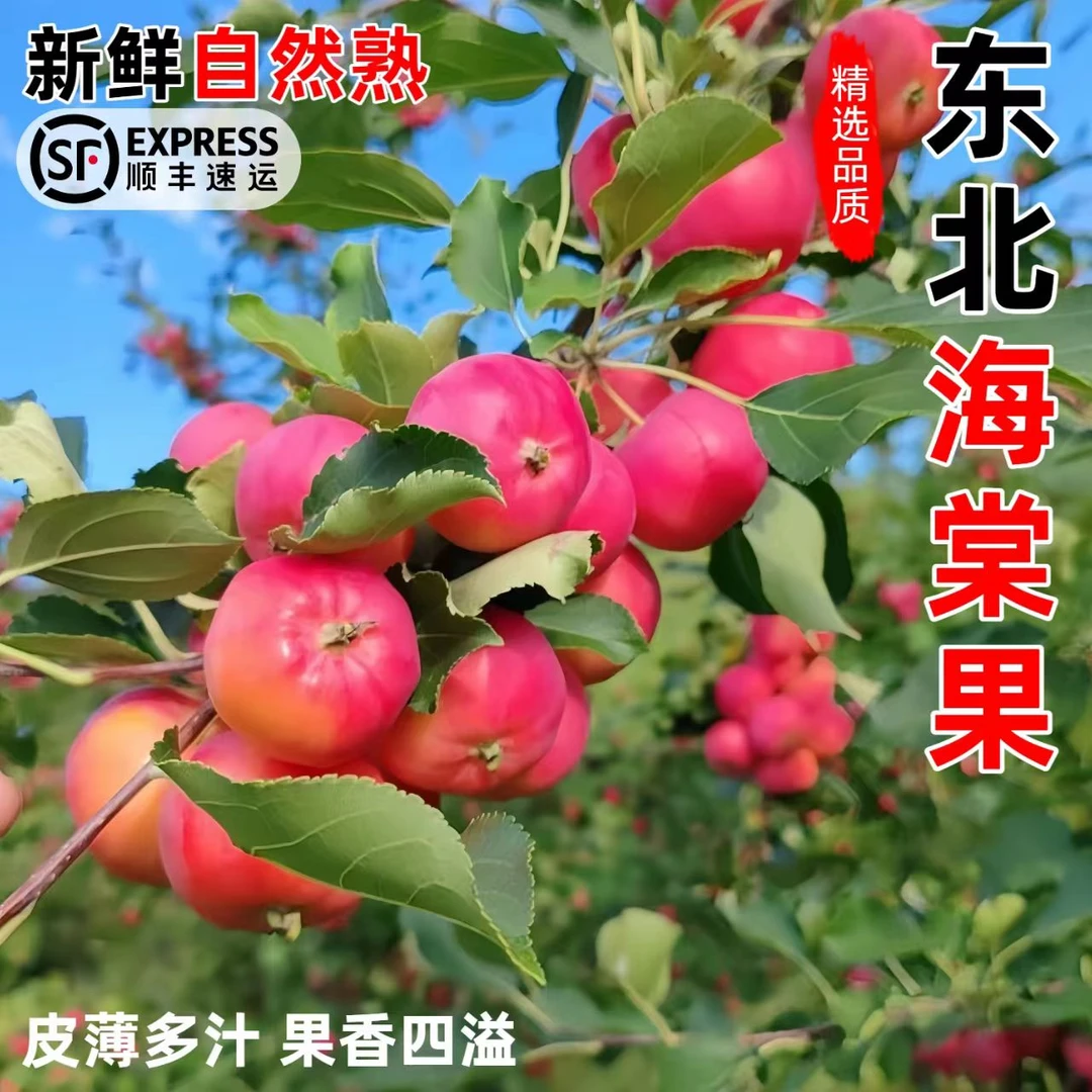 顺丰包邮 东北沙果 黄太平小时候的味道