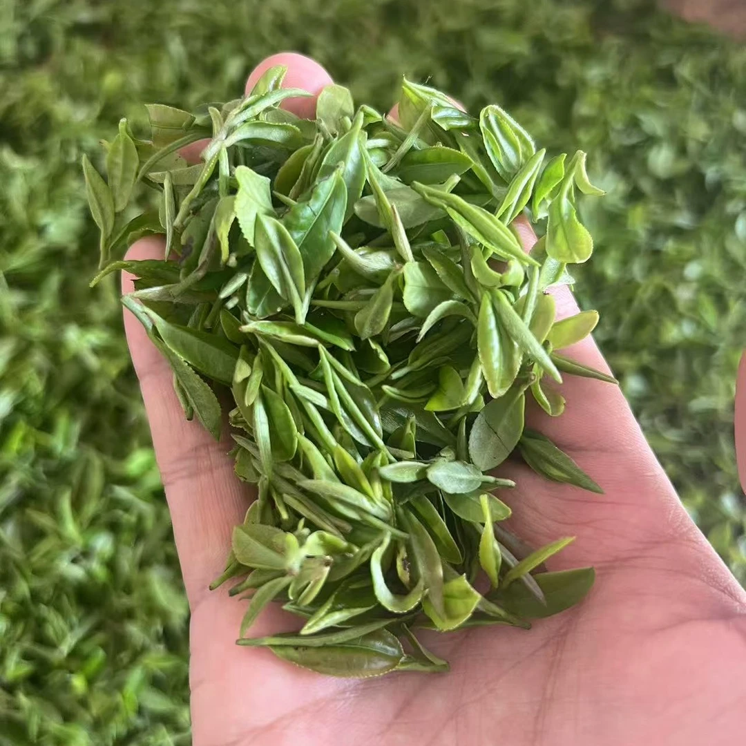 大悟金岭绿茶（雨前茶）