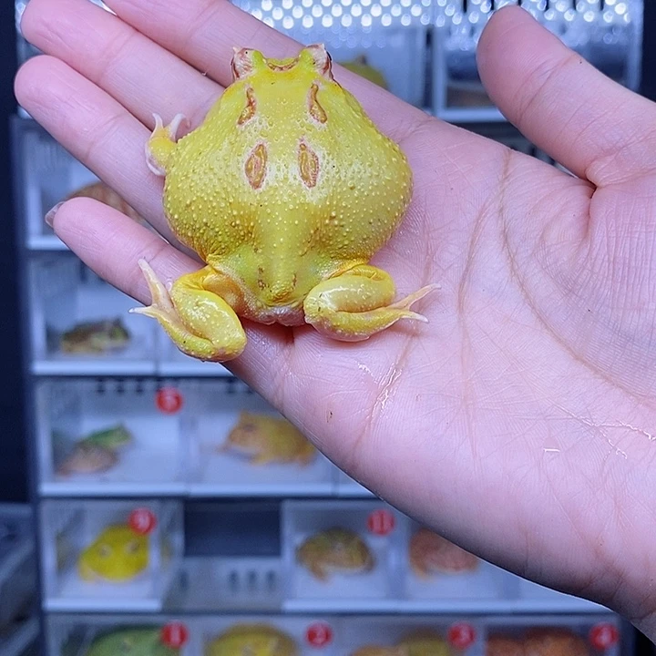 特价秒杀现货特价