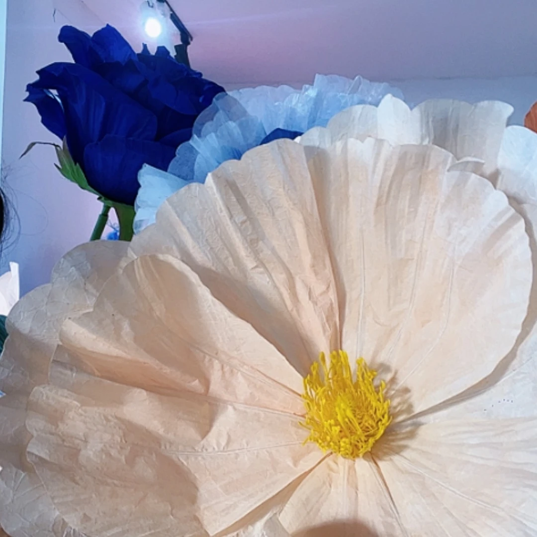 【闪购商品】单花头