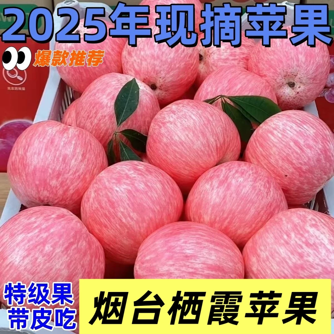 拍5斤送5斤[正宗山东烟台苹果]当季新鲜下树新苹果酸甜可口10斤装