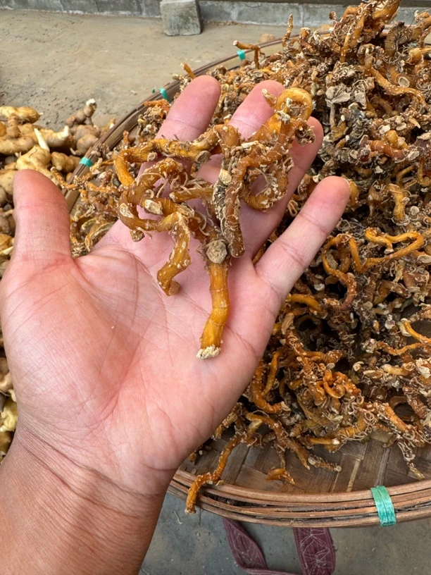 纯野 玉 竹 下山货农副产品