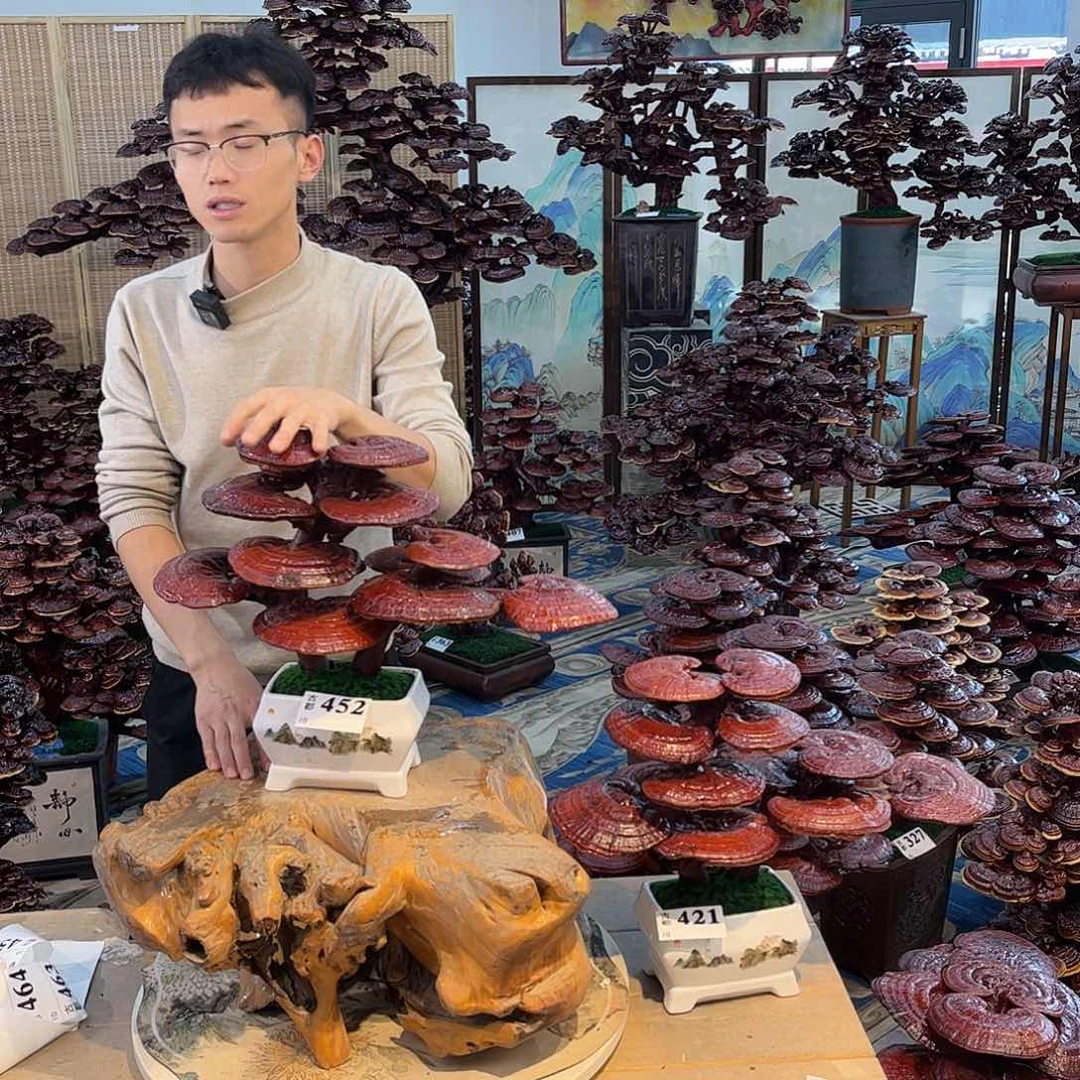 无花朵88888888888888888888