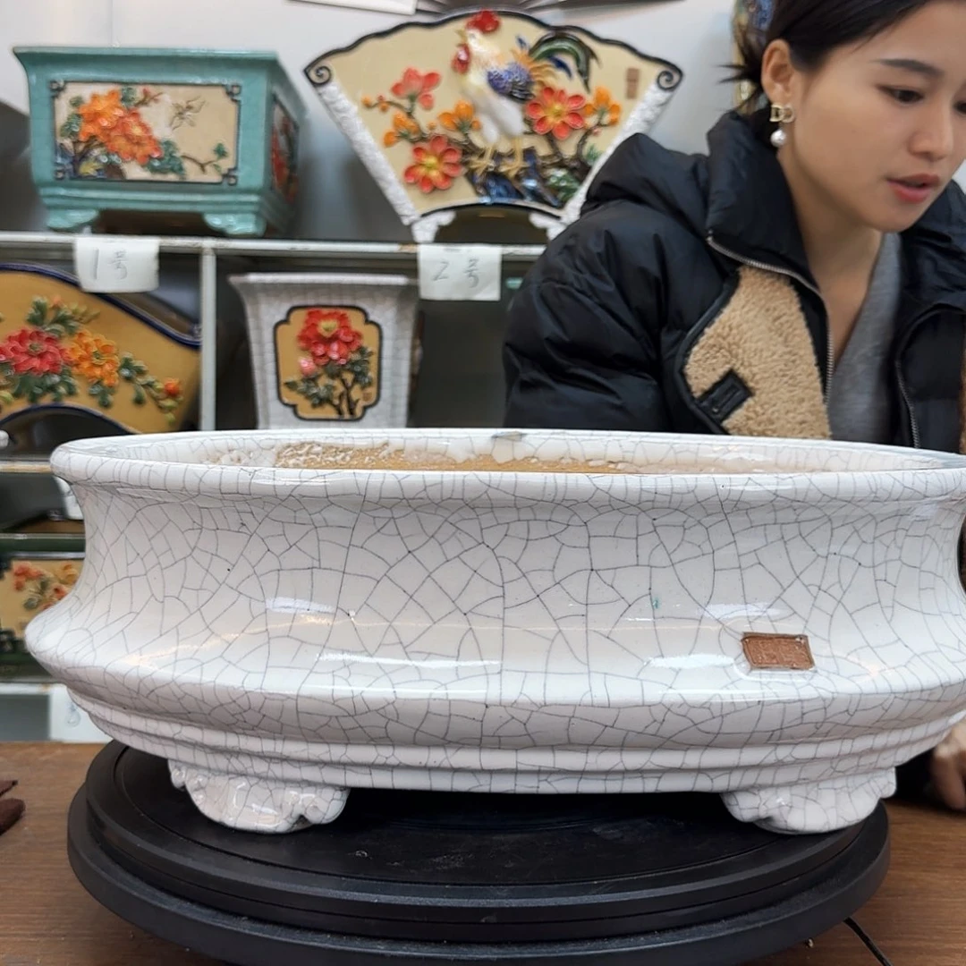 红陶³****⁺石湾盆300