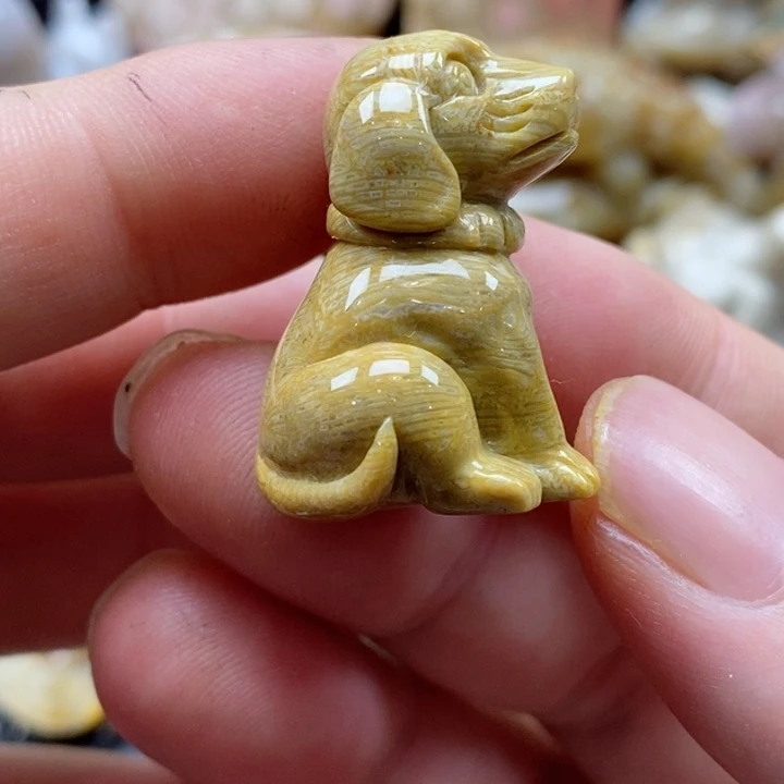 硅化珊瑚（珊瑚玉）颈饰未镶嵌