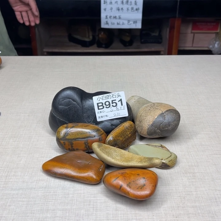 有机玻璃吕*峰大化彩陶大湾