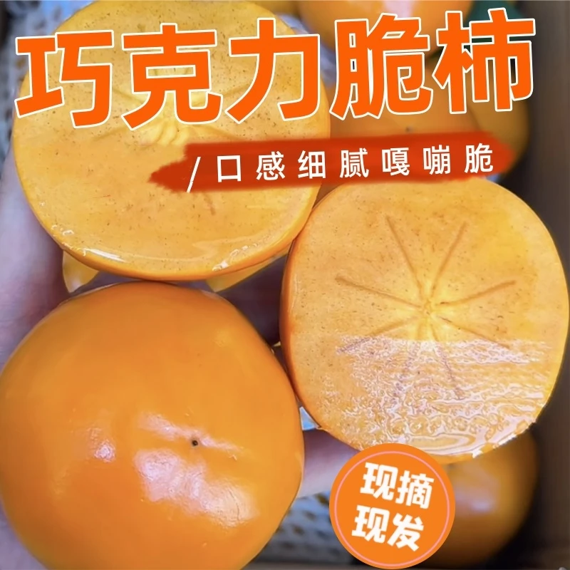 【产地直发】山西正宗阳丰巧克力甜脆柿新鲜应季爆甜脆甜多汁冰糖心