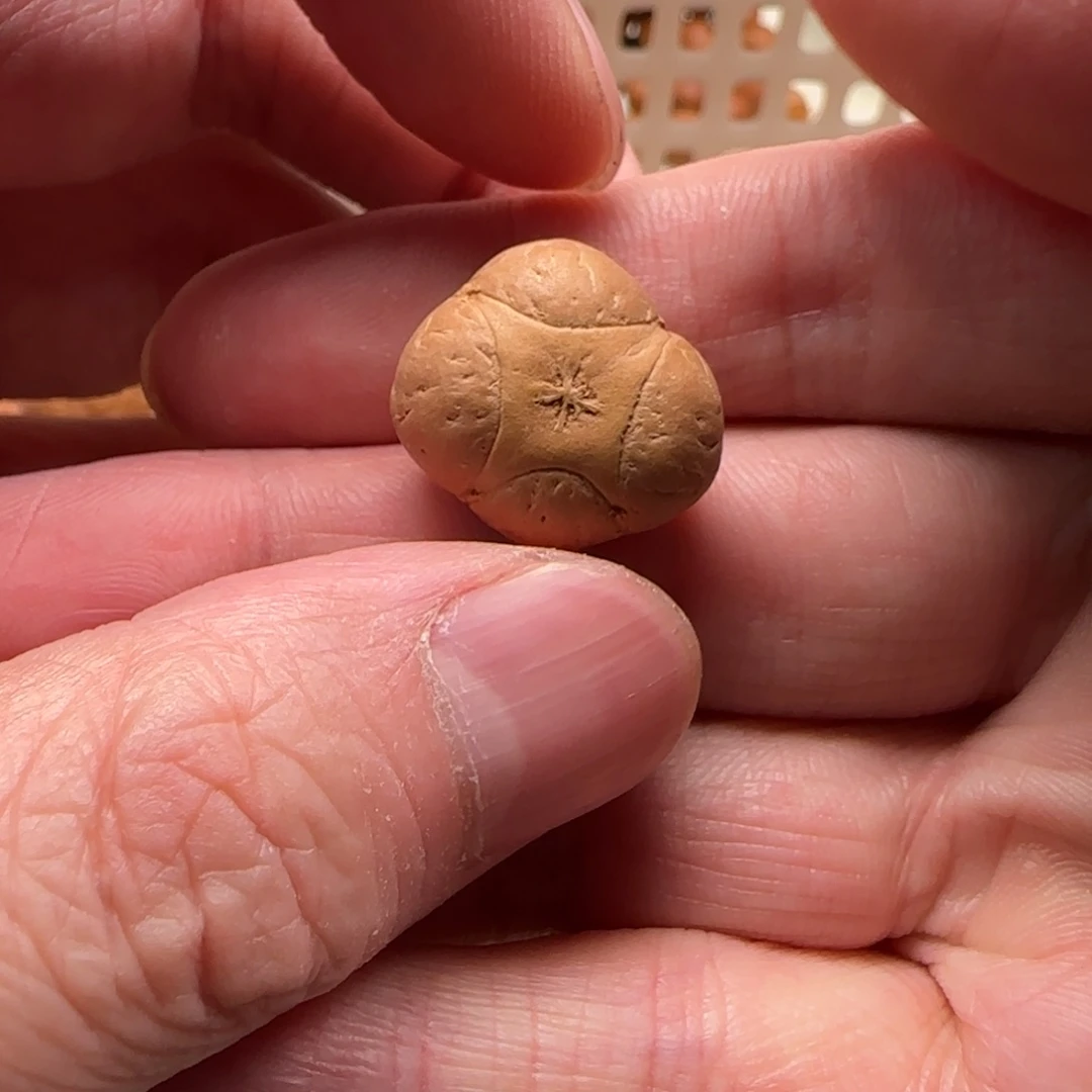 凤眼菩提吊坠9号麒麟