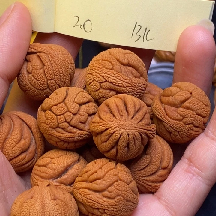 吊坠桃核秦岭龙纹桃核20尺寸