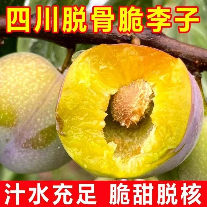 四川脆甜半边红李子脱骨李新鲜应季水果酸甜多汁核小肉厚