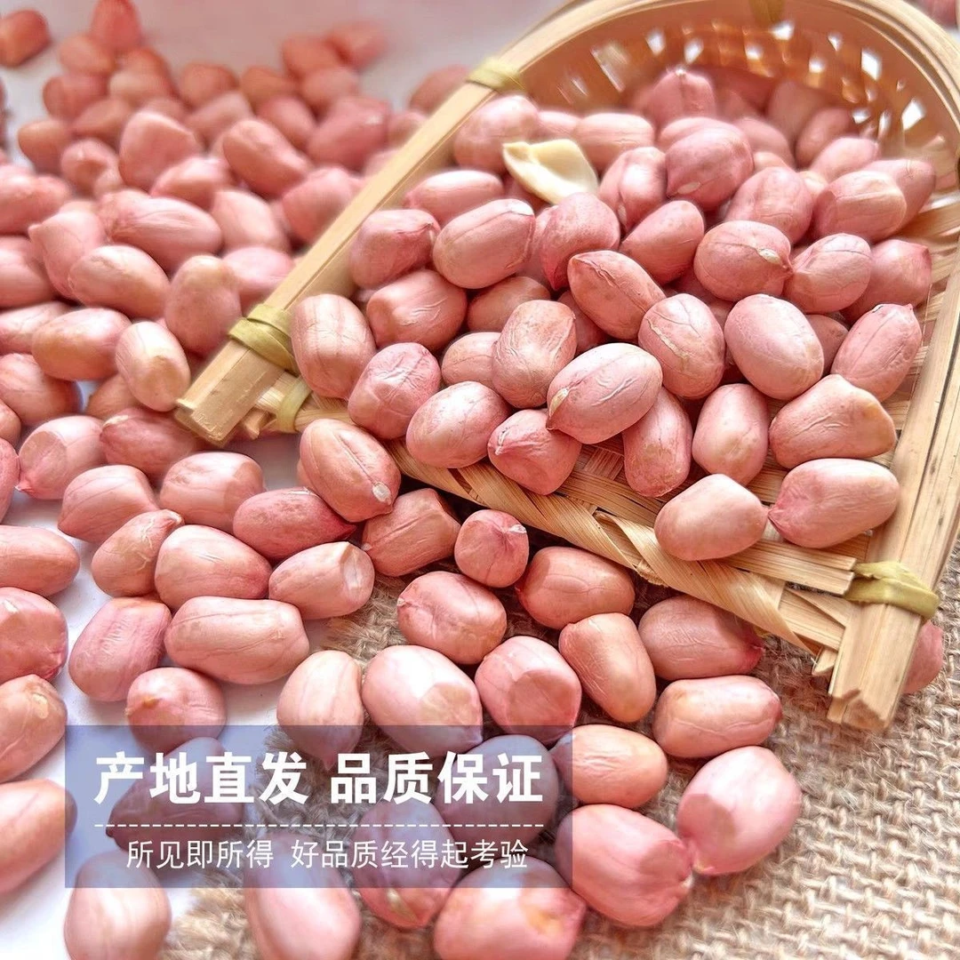 2025新鲜原产地干净食用榨油花生米