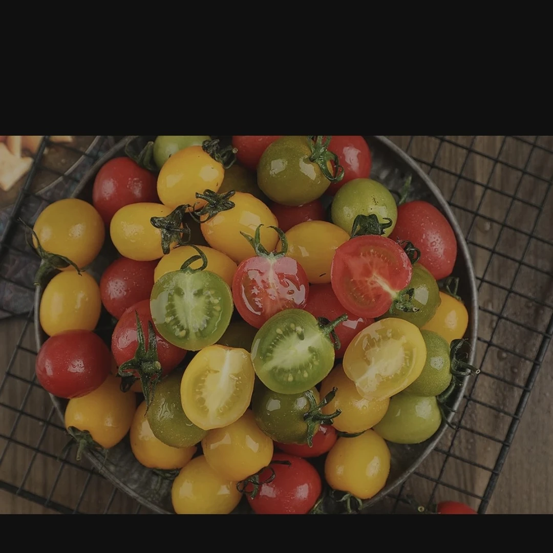 成都现摘5斤三色小番茄组合千禧，青甜，黄宝石千禧香甜爆汁