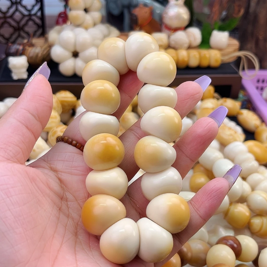 手串菩提根/象牙果山竹大肠16颗