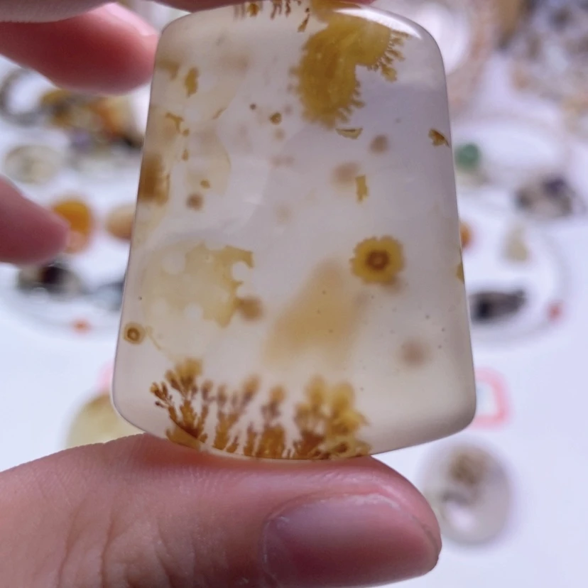 【闪购商品】玛瑙/玉髓颈饰未镶嵌