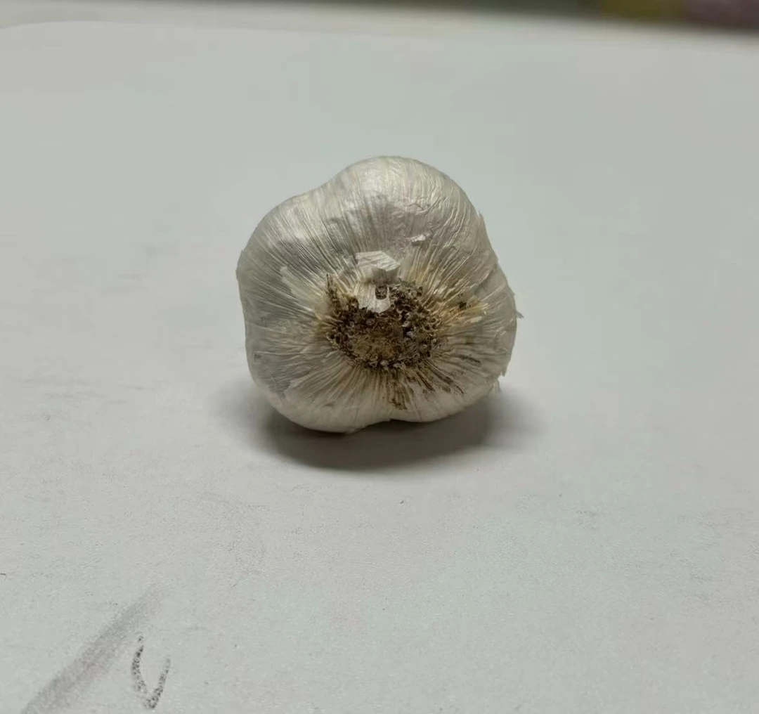 苍山大蒜纯四瓣，颗颗饱满香辣脆粘