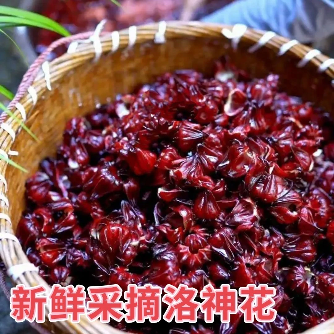桂林新鲜洛神花红桃k可用于泡酒酵素果酱泡茶