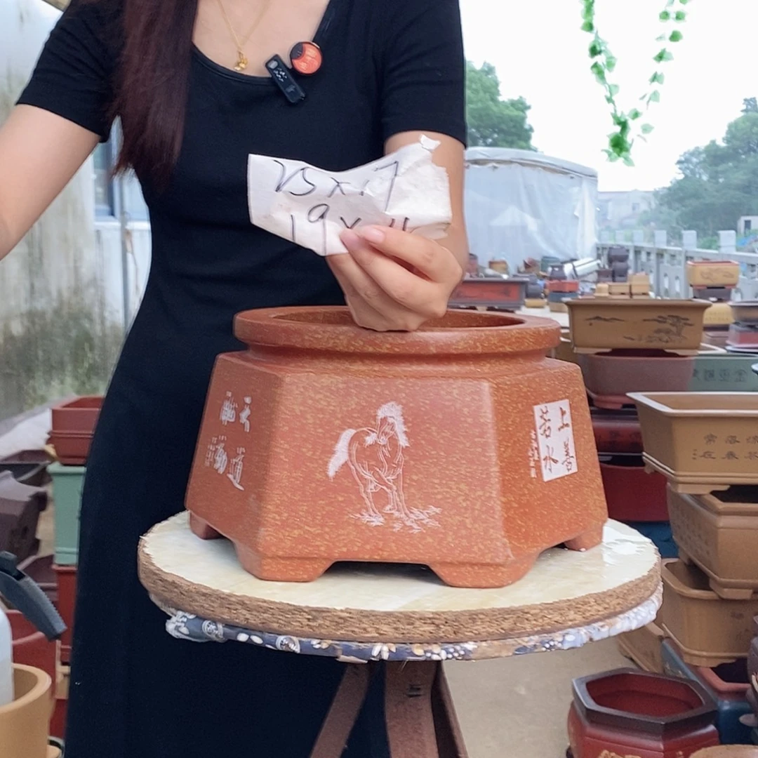 紫砂花盆紫砂花盆