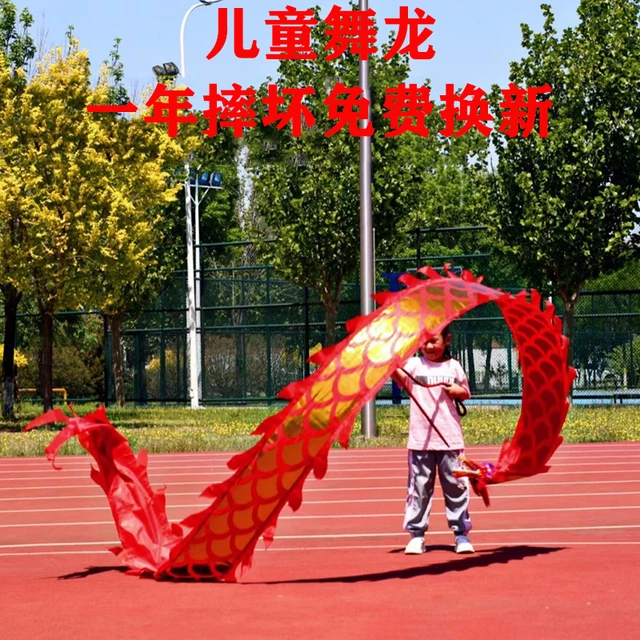 舞龙彩带健身新款儿童学生初学手甩龙中国龙广场舞耍龙头道具表演
