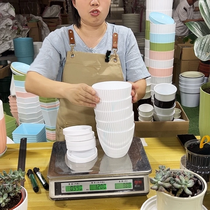 竖纹白色口13高11带托5只白色