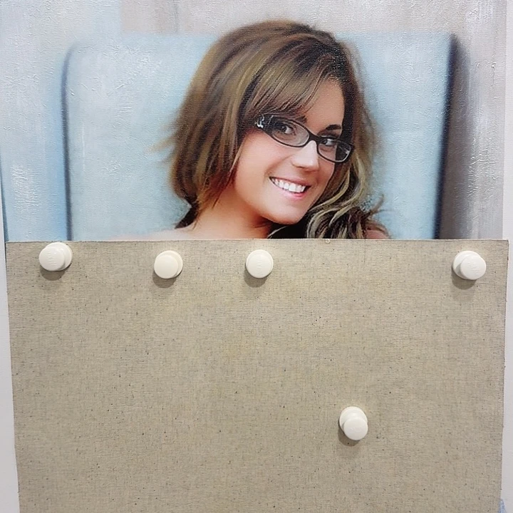 金寨画作欣赏作品