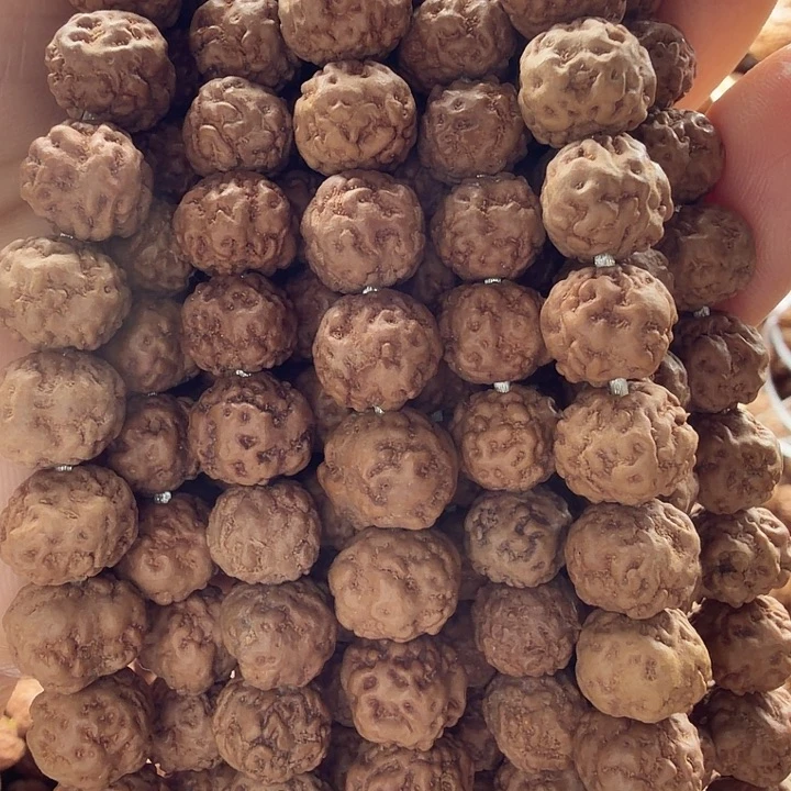 金刚菩提吊坠0瓣8-9