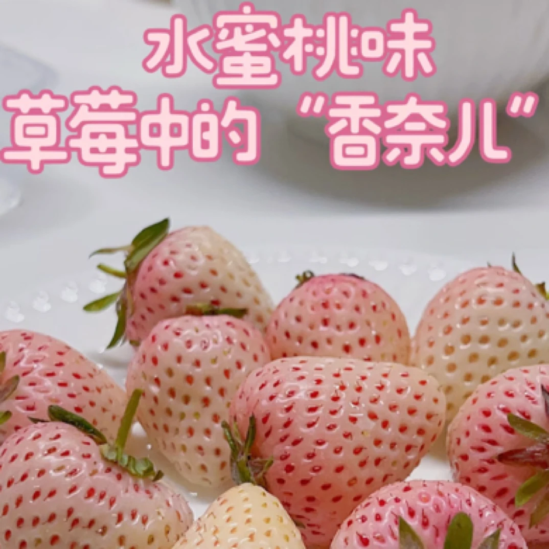 粉玉奶莓500g白雪公主