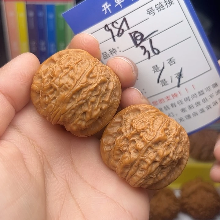 文玩核桃手捻核桃981