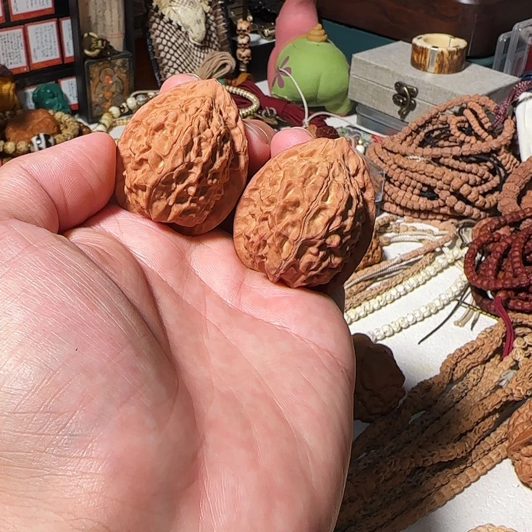 吊坠柏香籽/百香籽门头鸡王
